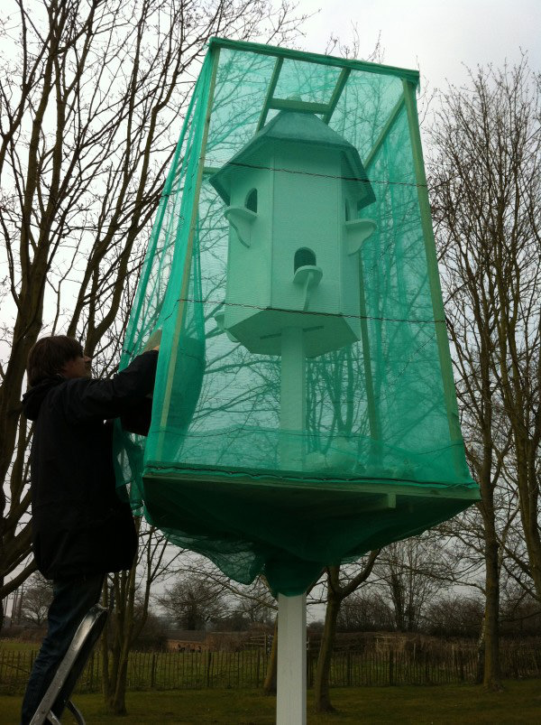 The netted Dove Cote