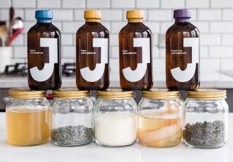 Learning about kombucha
