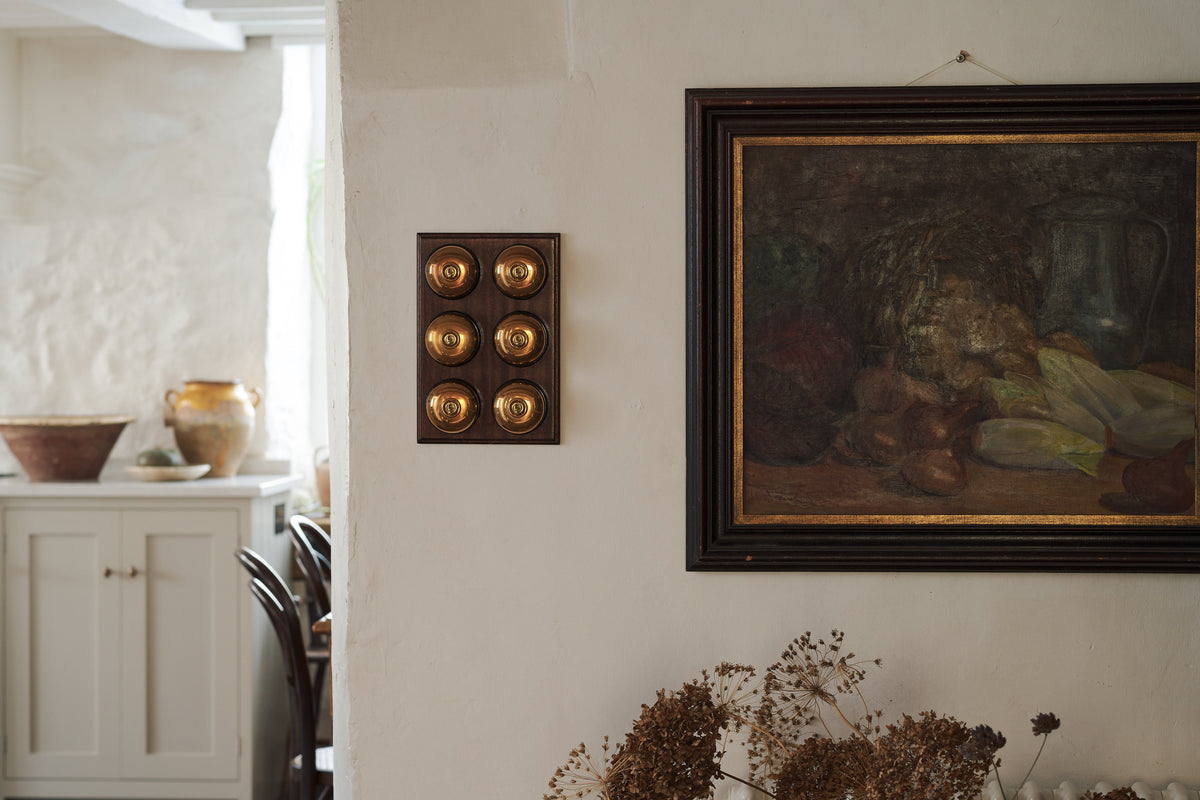 Six deVOL Dolly Toggle Switches fitted to a rich, polished Sapele pattress. The individual switches are finished in deVOL's Heirloom Brass finish, a warm, golden toned brass.