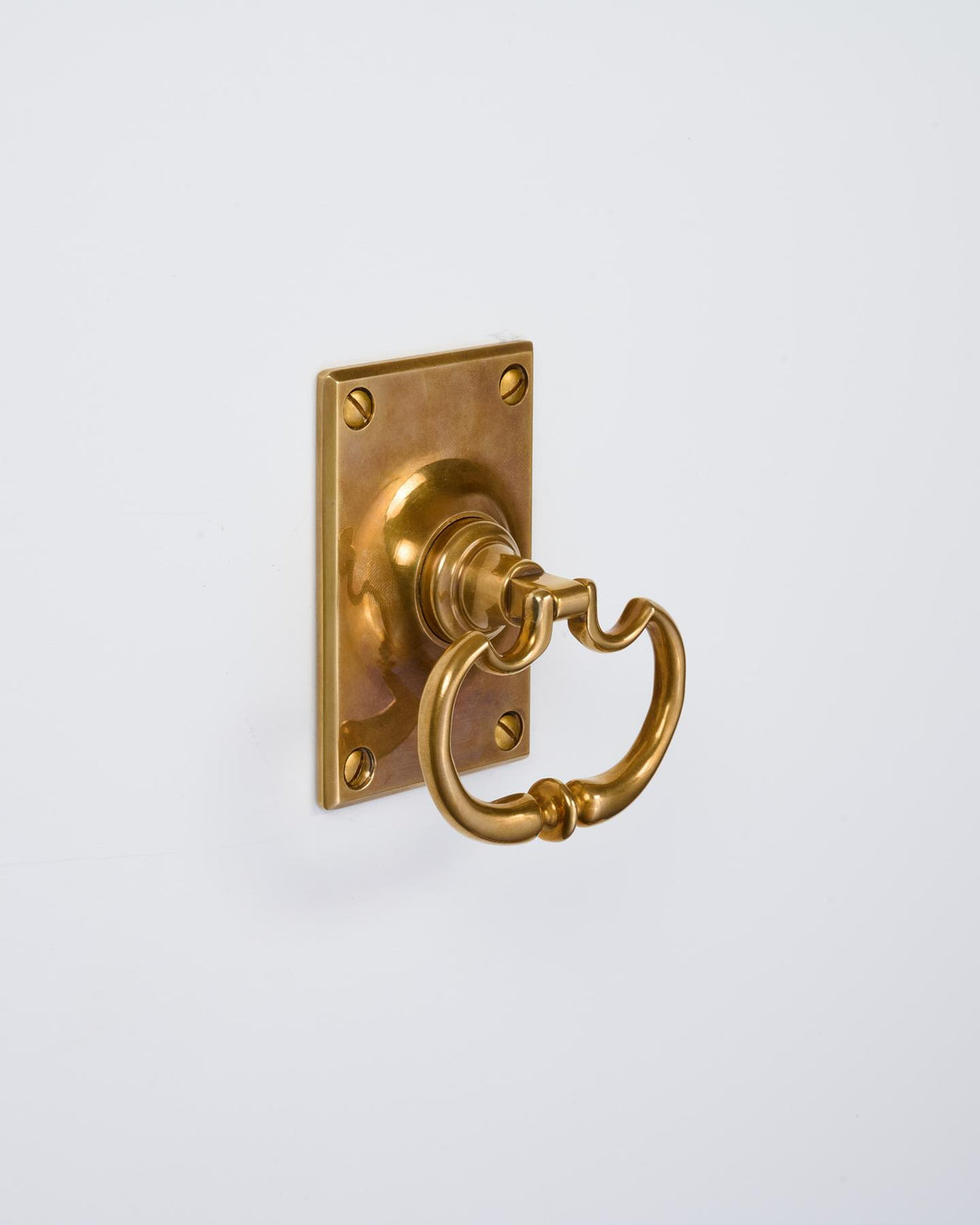 The Eglantine Drop Handle with Ottilie Backplate TEST