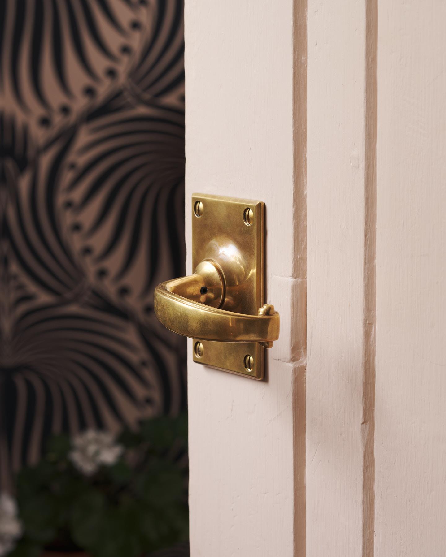 The Ottilie Door Handle with Ottilie Backplate