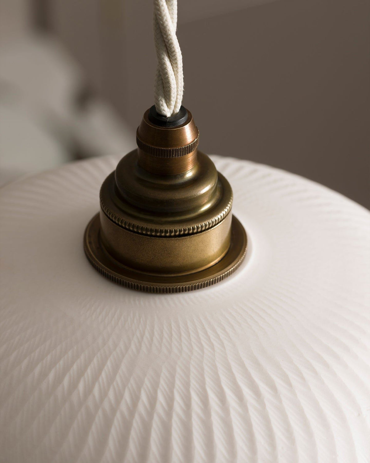 Large Chattered Skullcap Porcelain Plug-in Light TEST