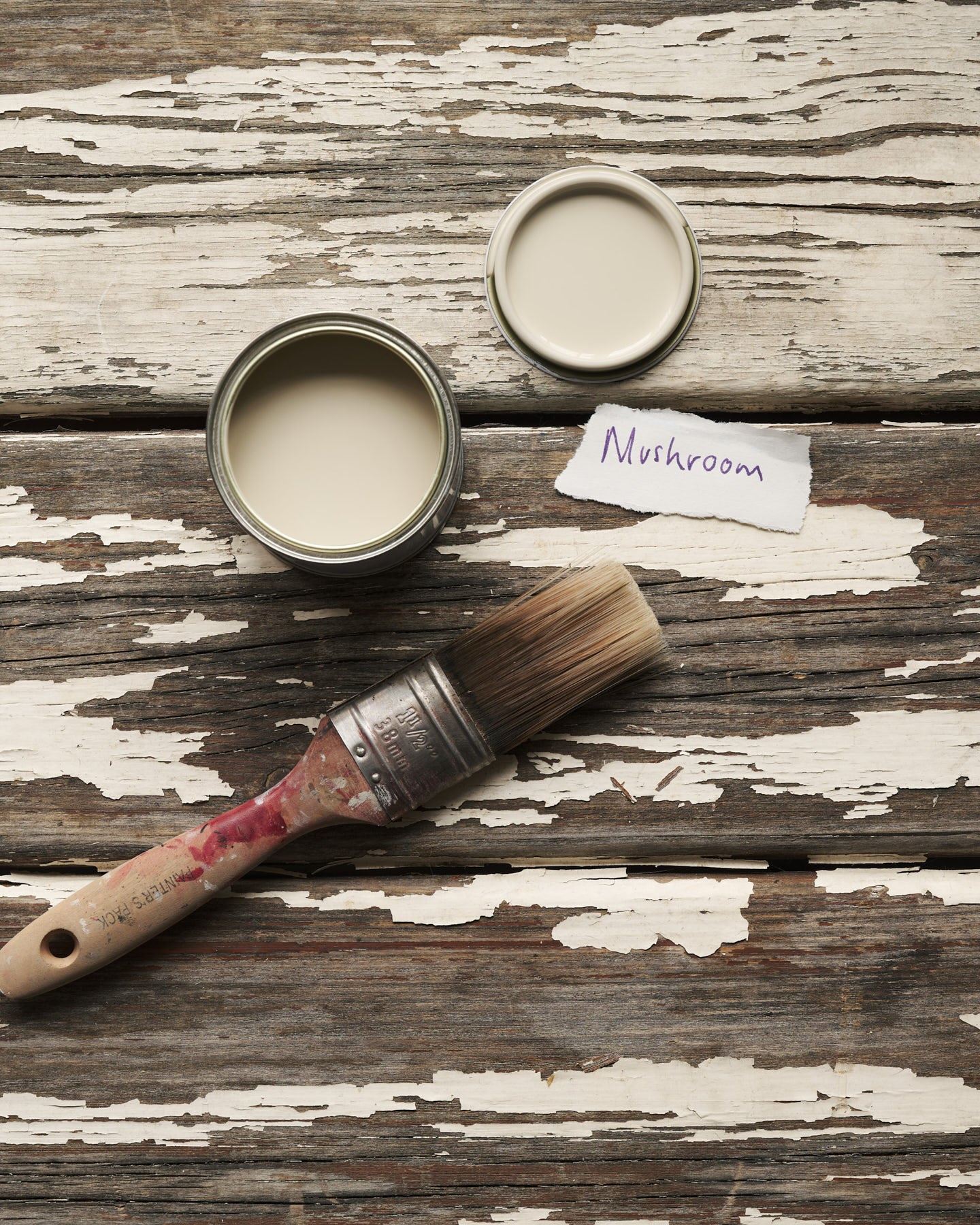 An overhead view of an open paint pot and a worn brush on a rustic tabletop. The creamy mushroom colour inside is labelled 'Mushroom'.