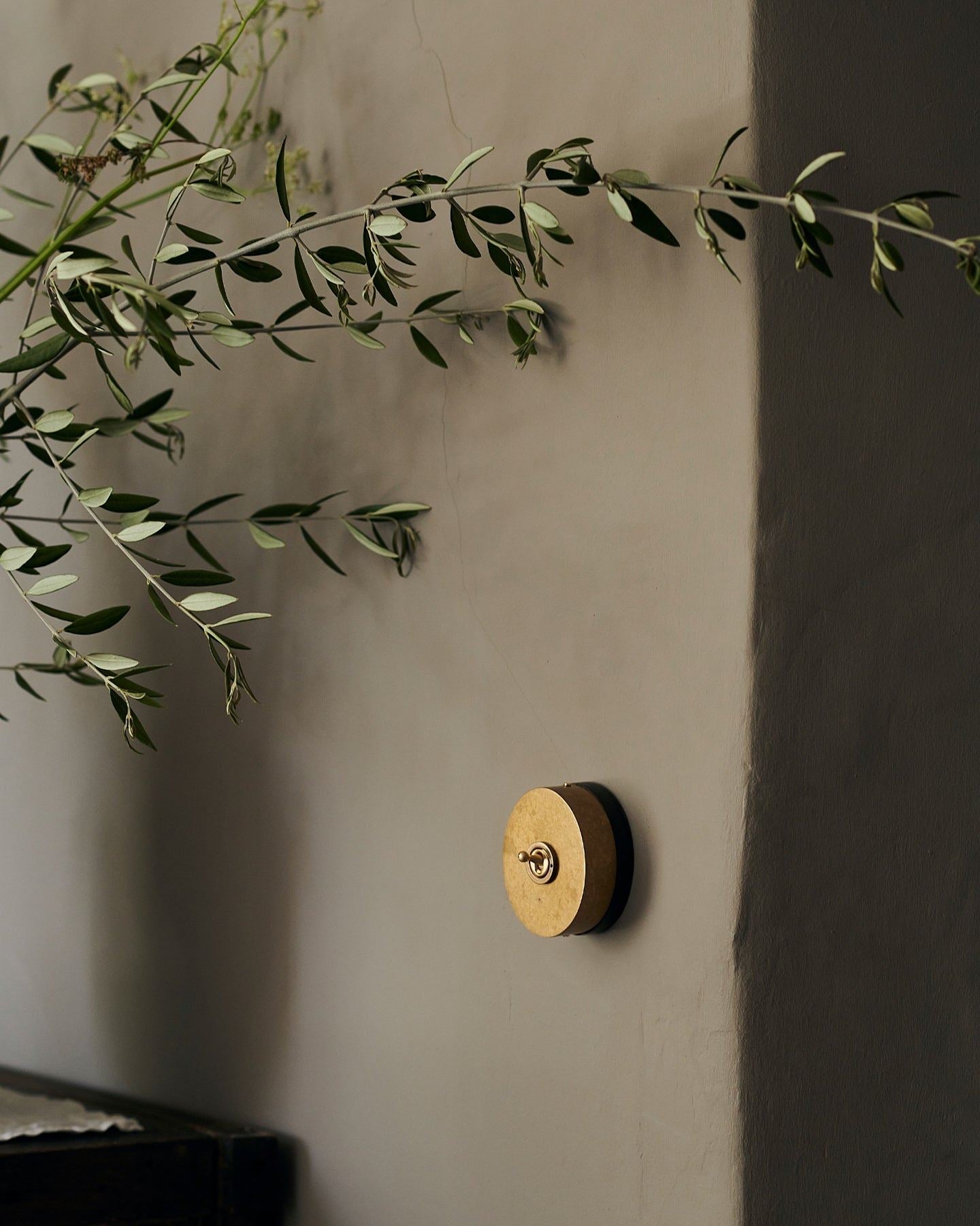 A small 1 gang oval-shaped toggle switch in aged brass on a grey wall, olive branches drift into view from a nearby vase.