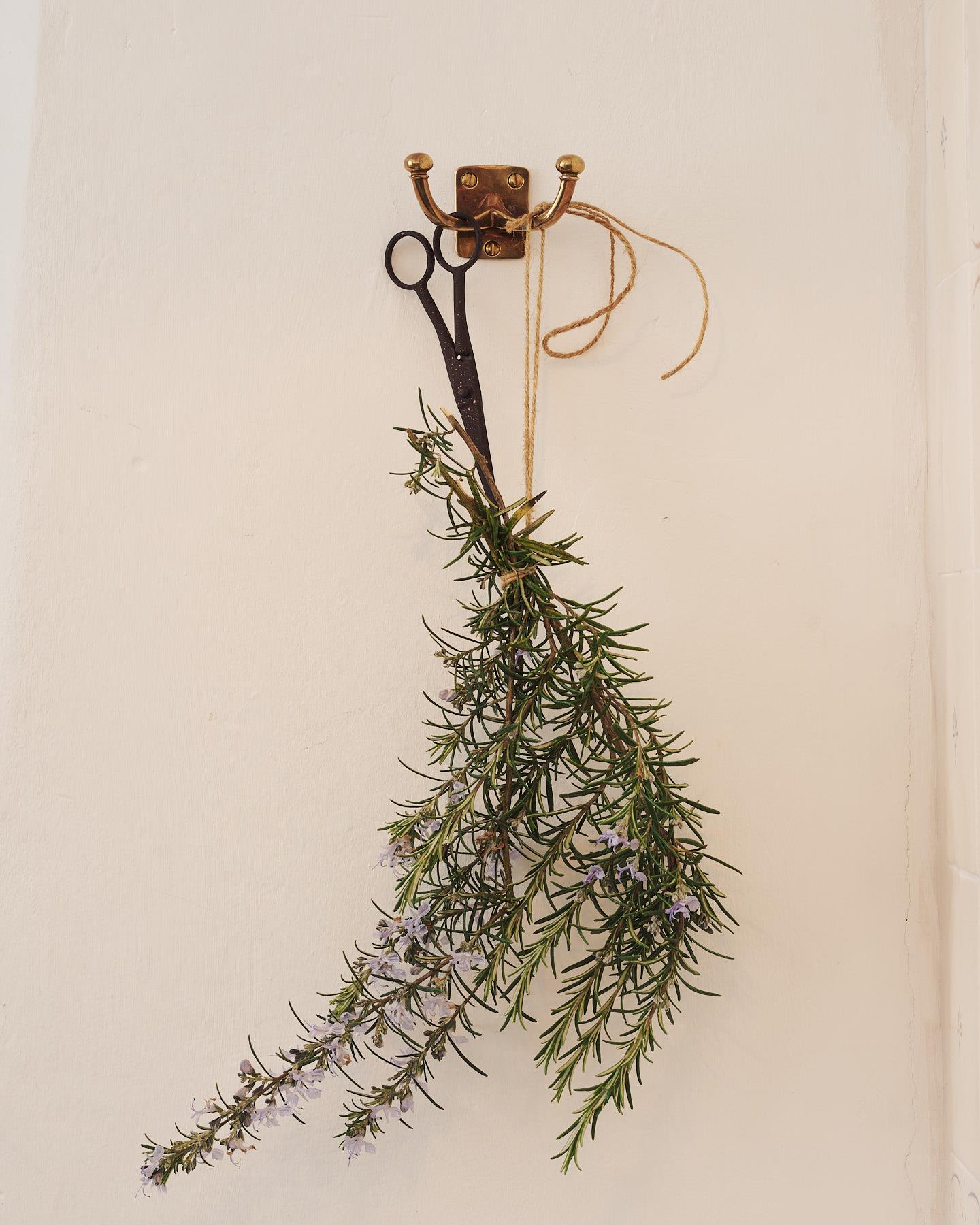 A twin Edwardian-style brass hook, fitted to a white painted wall. It effortlessly hopes a vintage scissor and a string of rosemary that's sprouting lilac flowers.