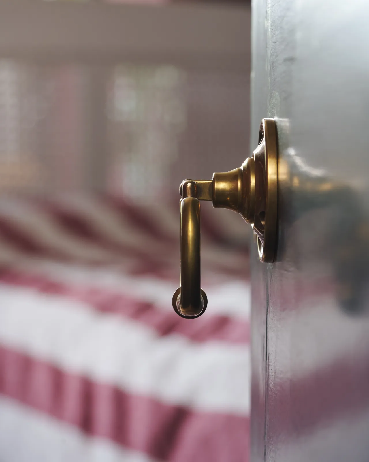 Eglantine Door handle