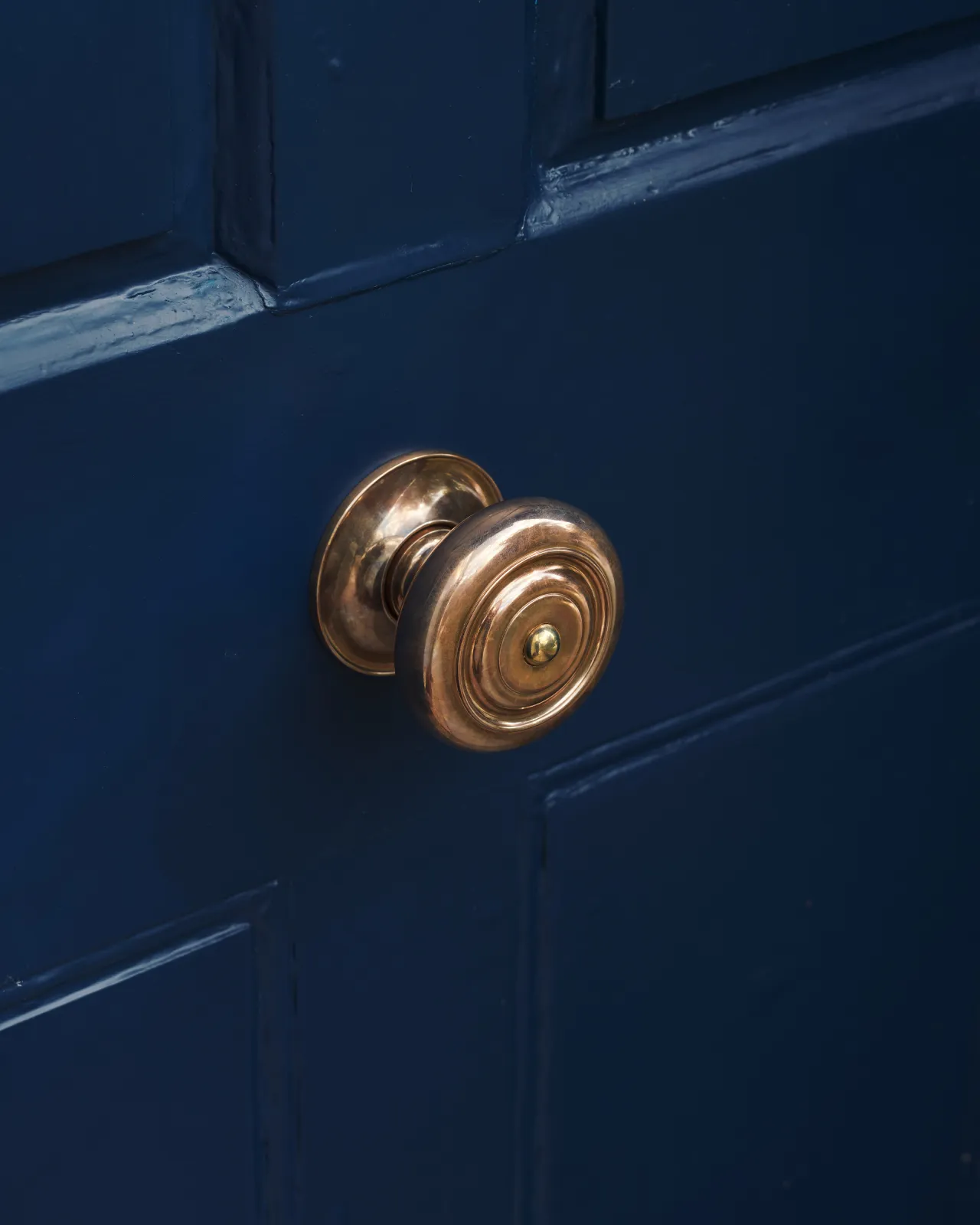 the grand romilly centrepull on a blue wooden door.