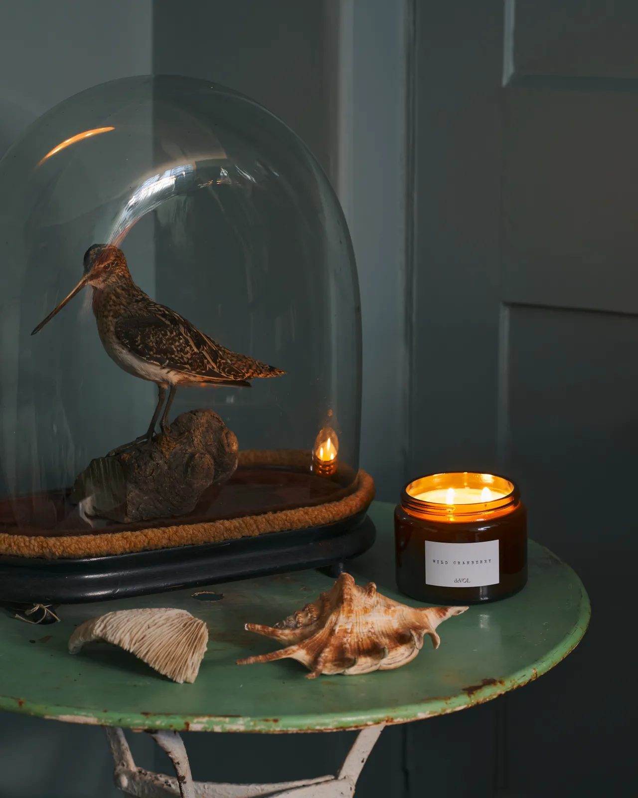 our candle on a green table with sea shells around it.