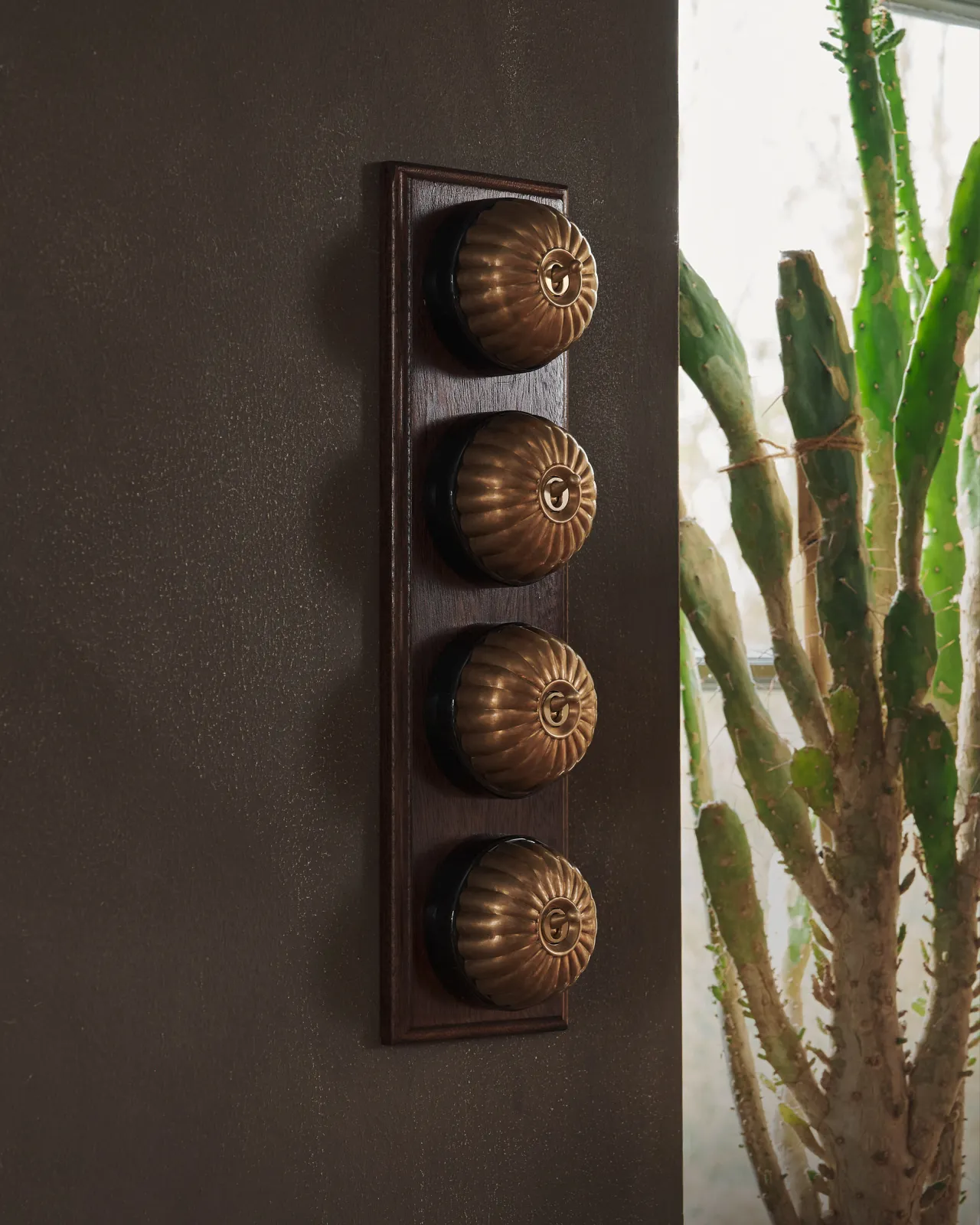 A bank of four Aged Brass Jelly Toggle Switches fitted to a richly stained Sapele pattress.