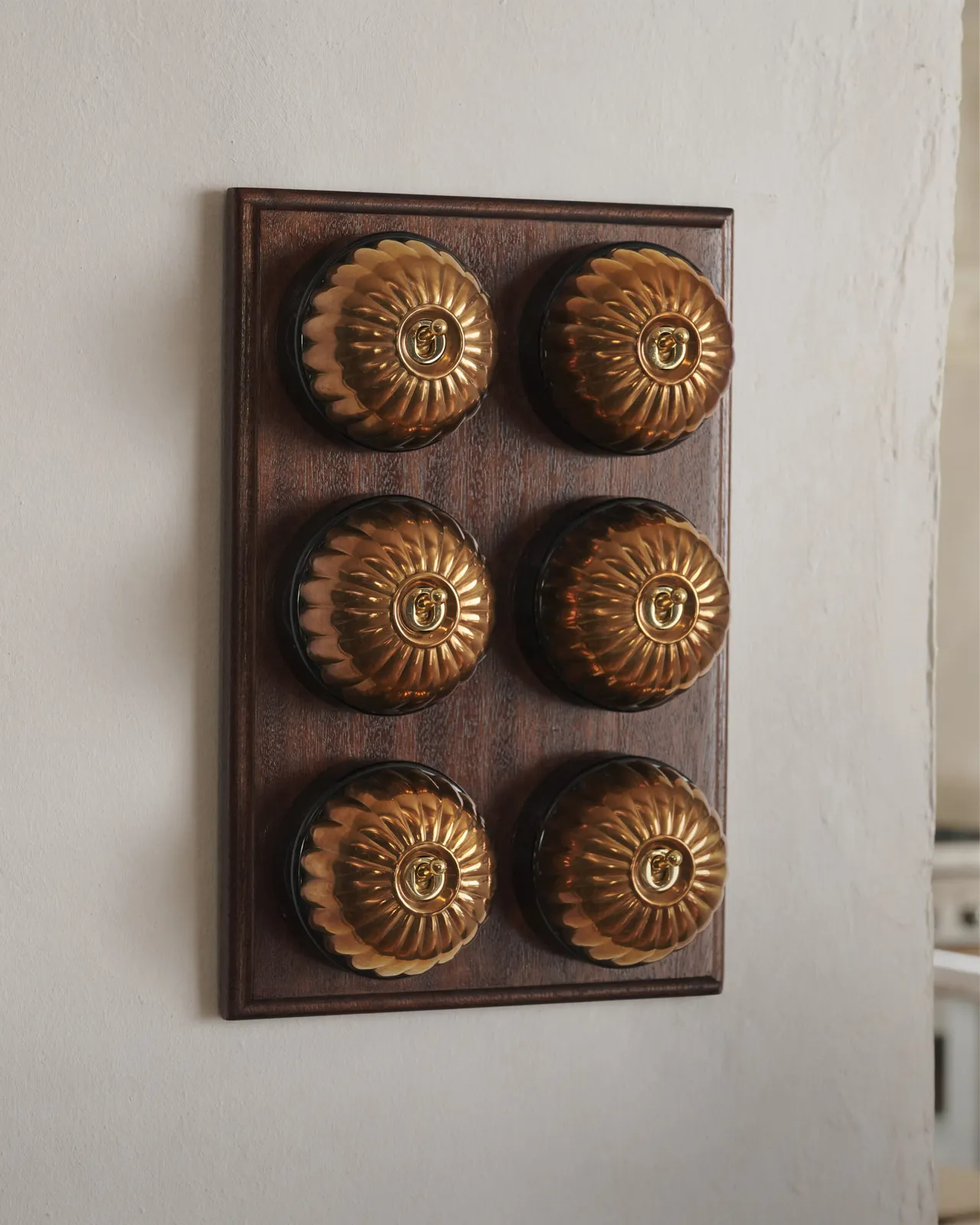 A bank of six Jelly Toggle Switches fitted to a richly stained Sapele pattress. Photographed in a cream-coloured room with painted Shaker cupboards.