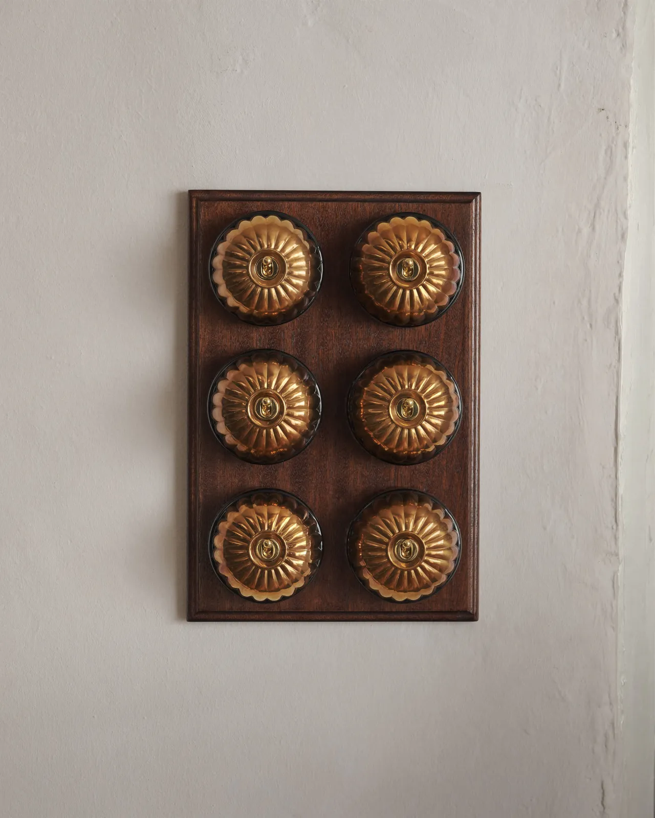 A bank of six Jelly Toggle Switches fitted to a richly stained Sapele pattress. Photographed in a cream-coloured room with painted Shaker cupboards.