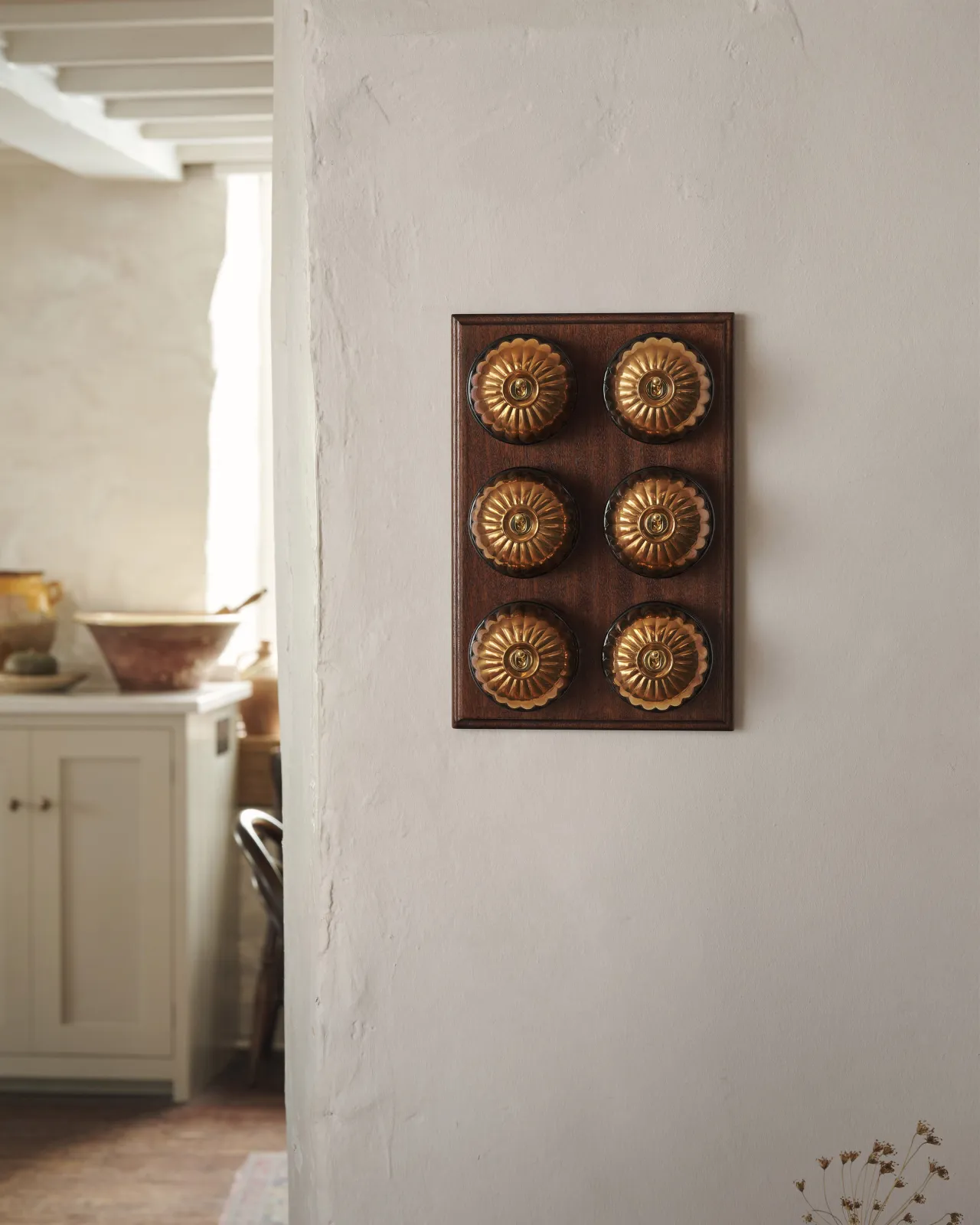 A bank of six Jelly Toggle Switches fitted to a richly stained Sapele pattress. Photographed in a cream-coloured room with painted Shaker cupboards.