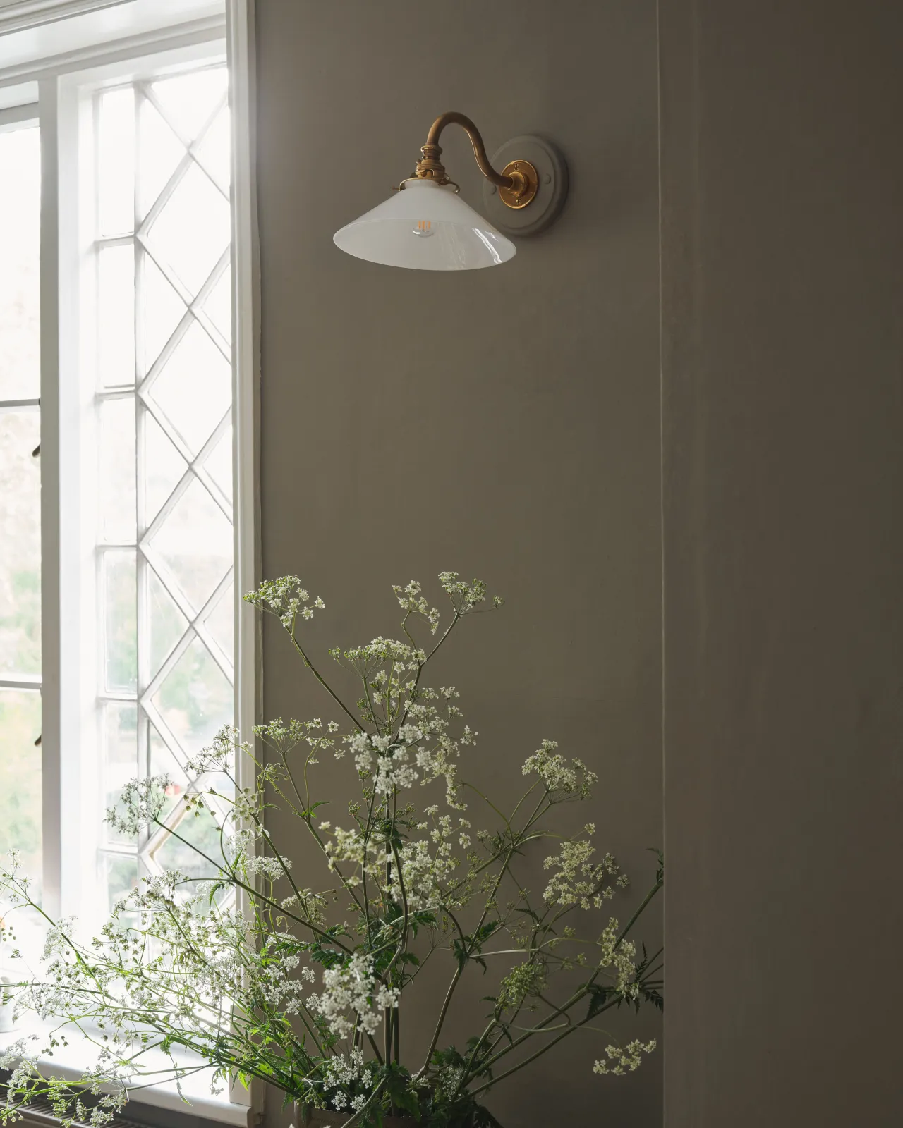 An oblique view of an elegant wall light with a curved brass arm, painted wooden pattress and small milk glass shade, fitted to a grey wall beside a leaded window and above large sprigs of cow parsley.