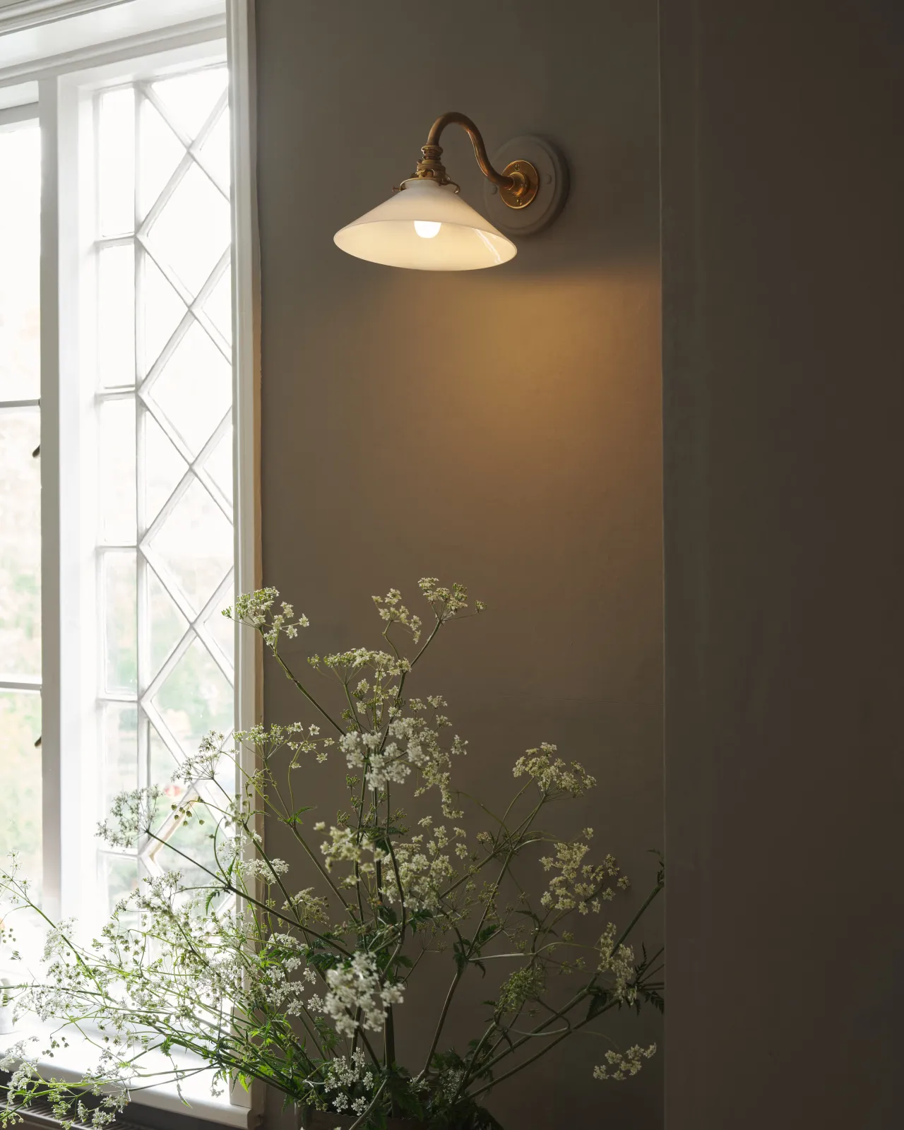 An oblique view of an elegant wall light with a curved brass arm, painted wooden pattress and small milk glass shade, fitted to a grey wall beside a leaded window and above large sprigs of cow parsley. The light is on and casting a warm glow over the wall below.