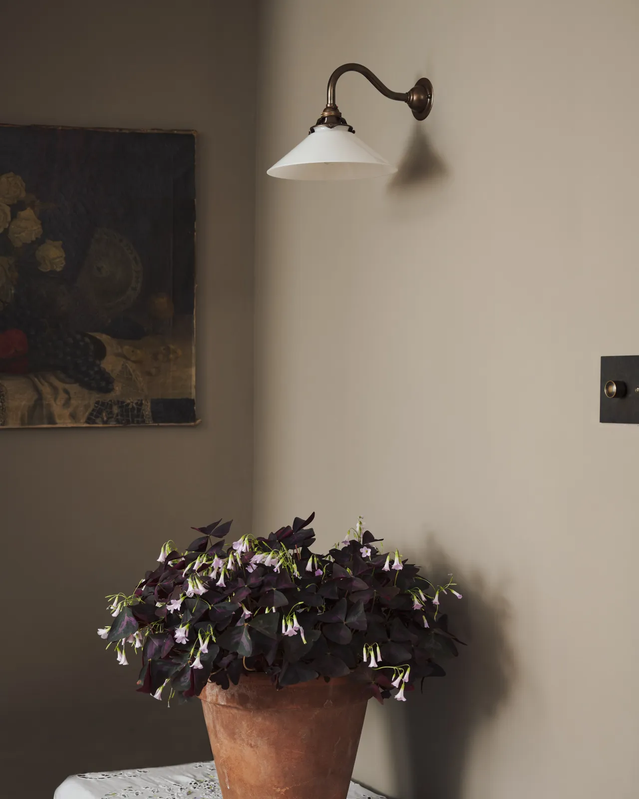 An oblique view of a small milk glass wall light above a large potted plant.