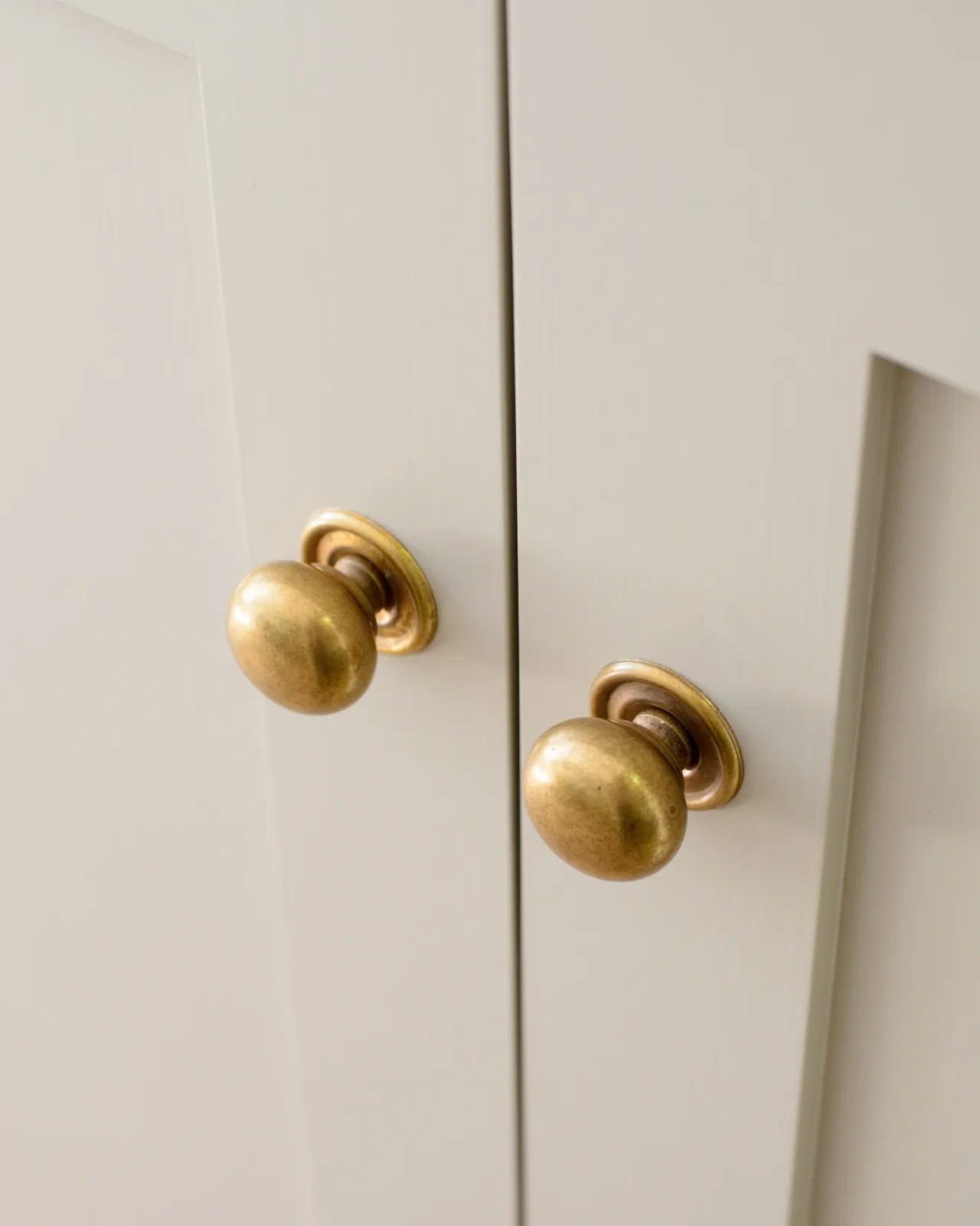 An oblique view of a pair of round doorknobs with pressed backplates in a burnished 'Bella' brass finish, fitted to cream painted cupboard doors.