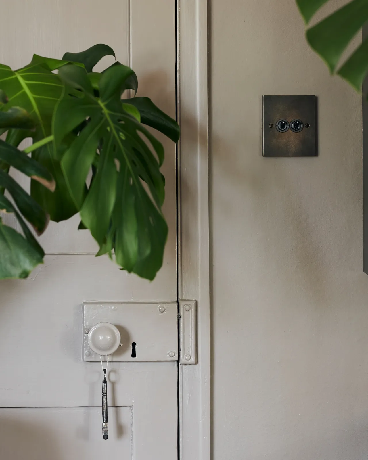 A straight-on view of a 2 gang box toggle switch in a dark oxidised brass finish on a grey wall with a large green monstera leaf on the left.