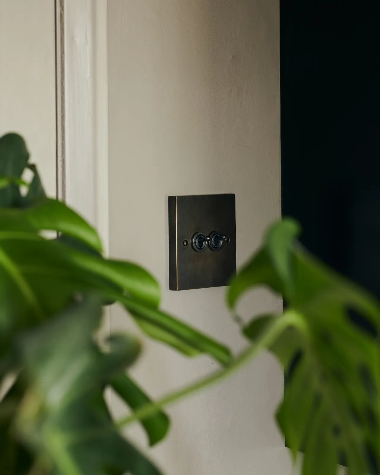 An oblique view of a 2 gang box toggle switch in a dark oxidised brass finish on a grey wall with a large green monstera leaves in the foreground.