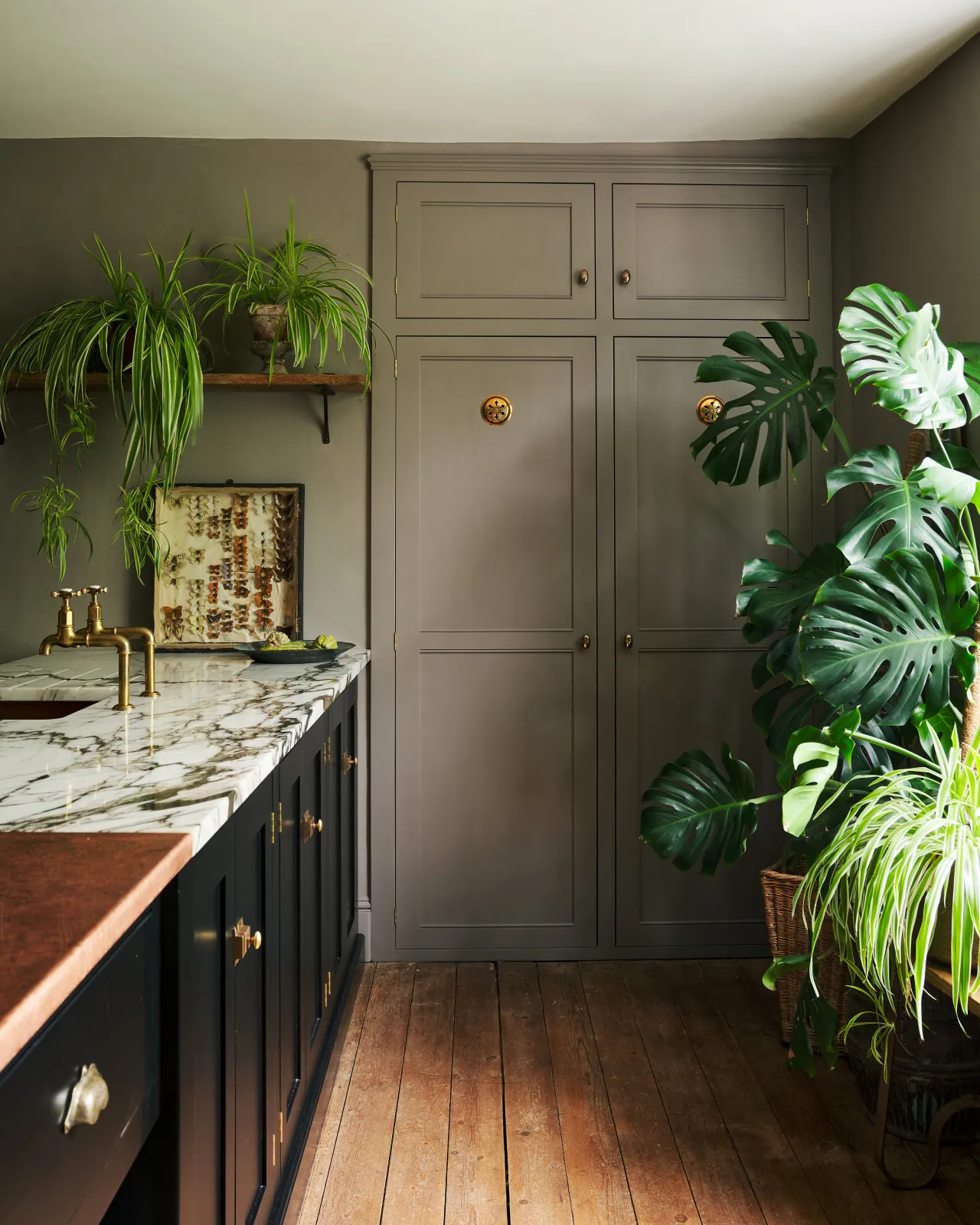 A bohemian kitchen with black base cabinets, dramatic quartz worktops, large monstera plants and a grey painted fitted pantry with a pair of Victorian-inspired circular brass ventilation grilles with traditional decorative cutouts.