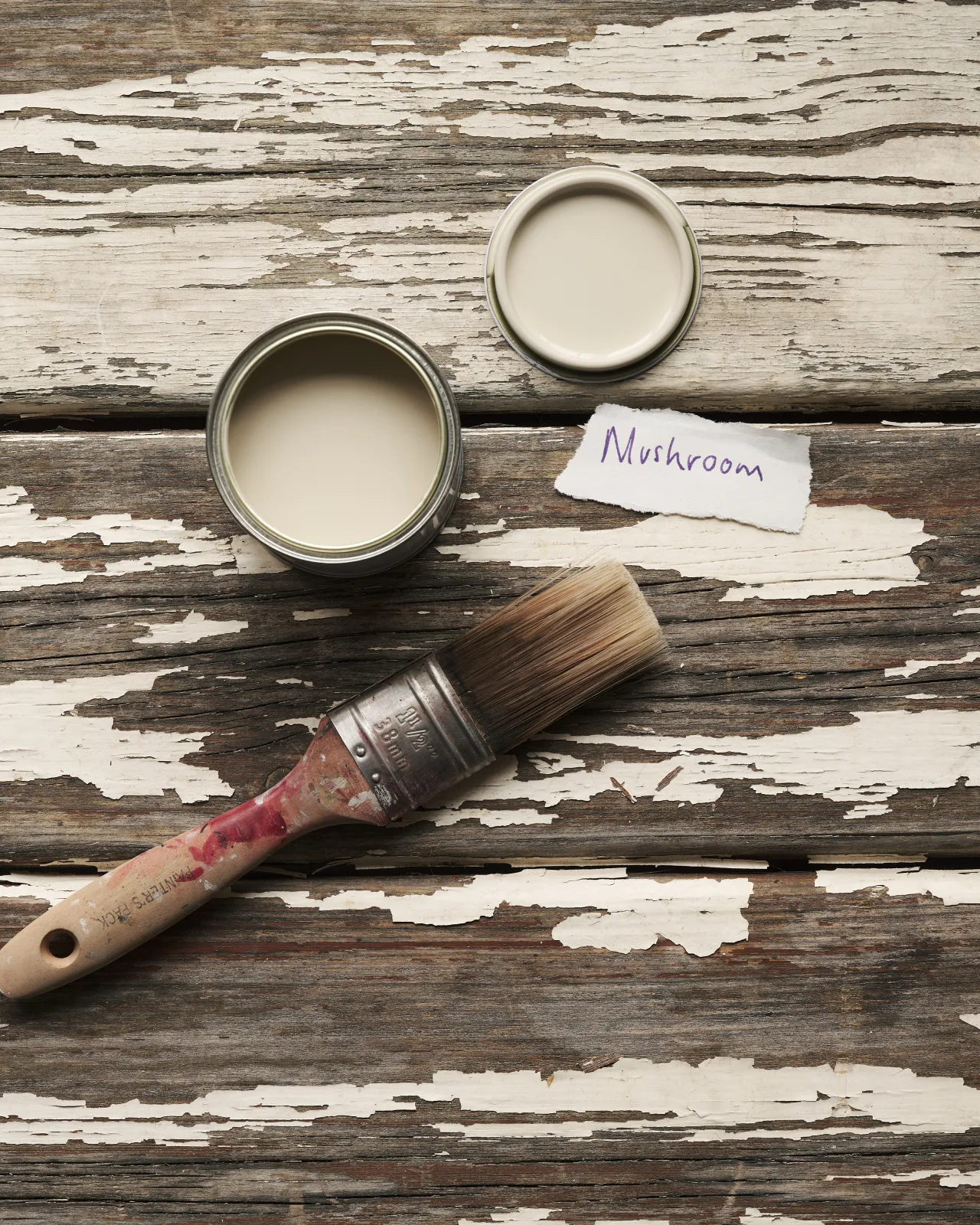 An overhead view of an open paint pot and a worn brush on a rustic tabletop. The creamy mushroom colour inside is labelled 'Mushroom'.