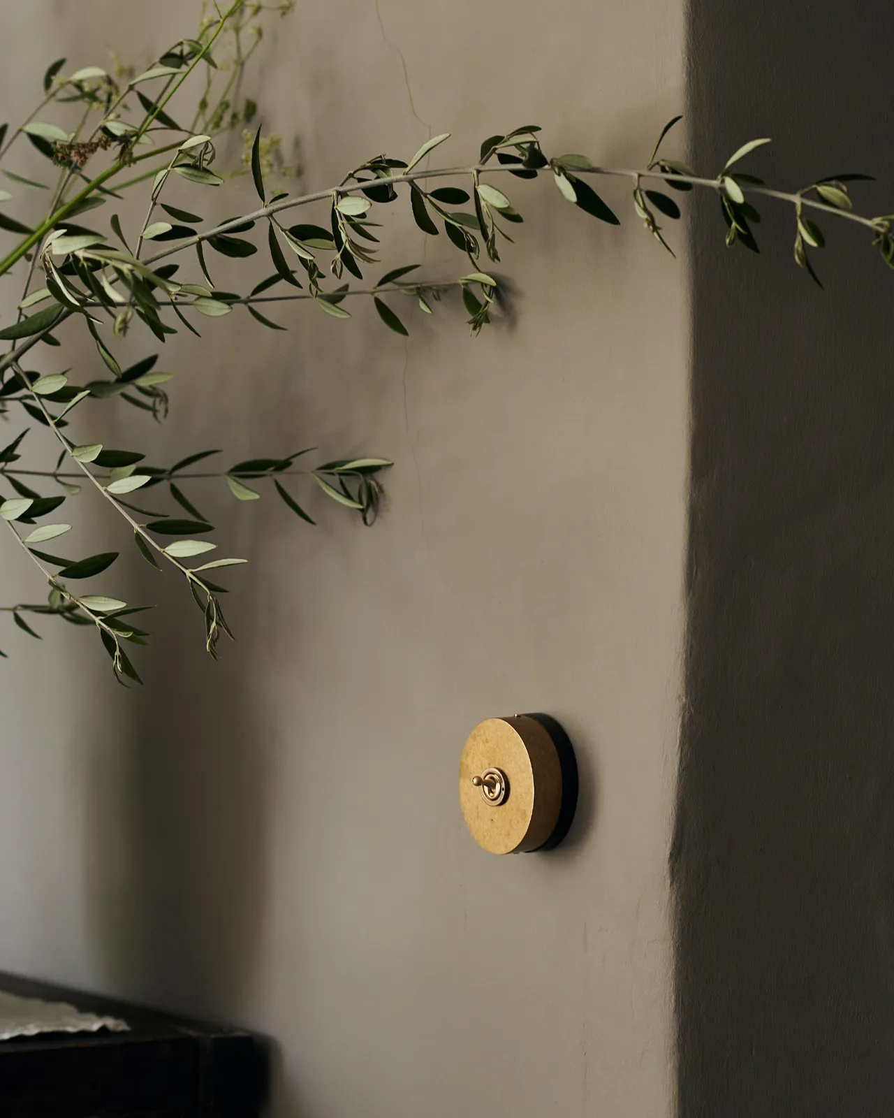 A small 1 gang oval-shaped toggle switch in aged brass on a grey wall, olive branches drift into view from a nearby vase.