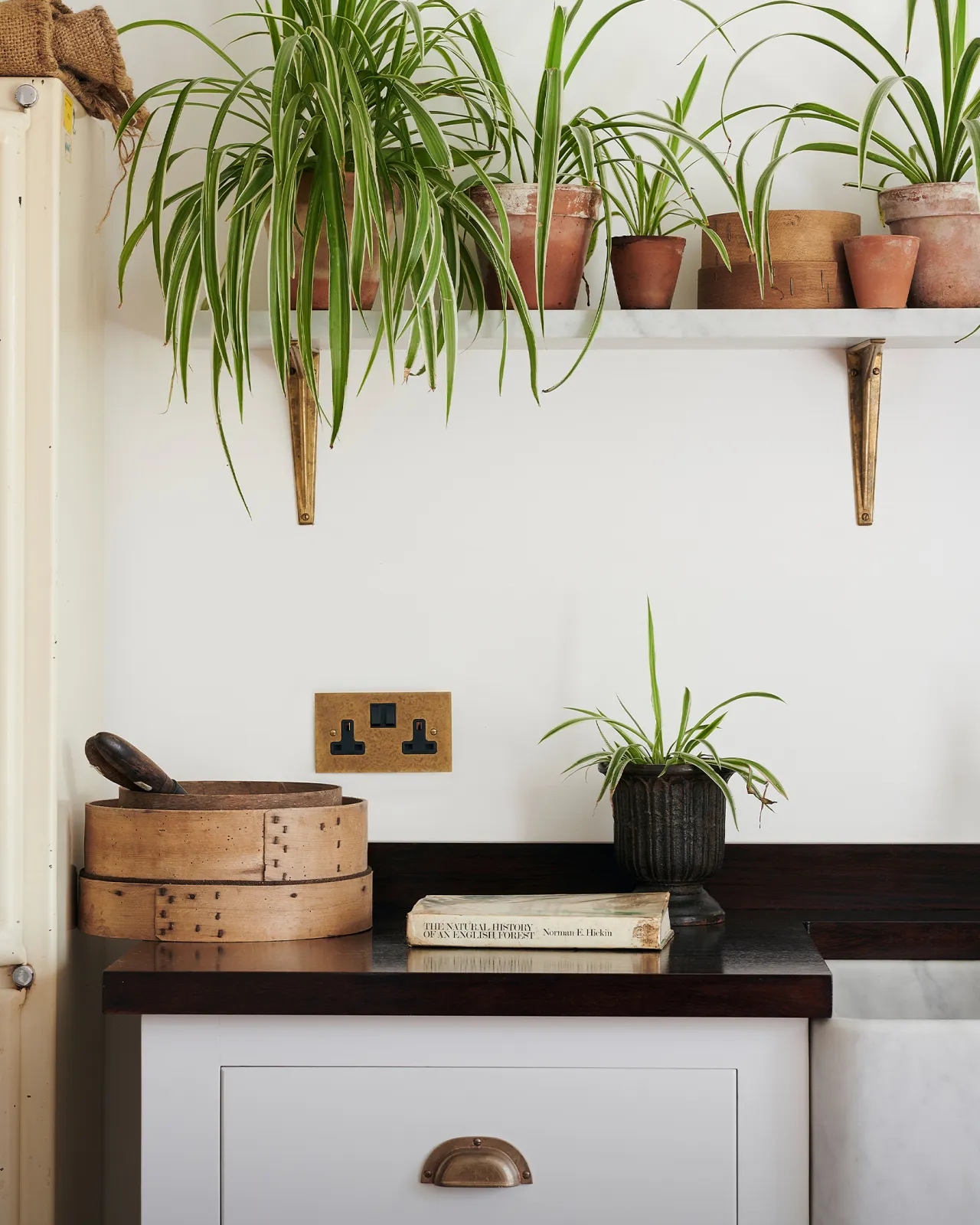 A close-up view of a classic 13 amp twin plug socket in a mottled aged brass finish on a white wall above a dark hardwood worktop. Lush spider plants in small terracotta pots hang down from a shelf above.