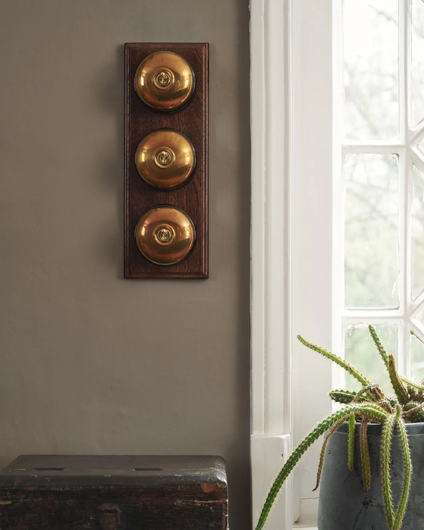 A 3 gang row of Dolly toggle light switches in an Heirloom Brass finish, with black ceramic bases and a Stained Sapele pattress.