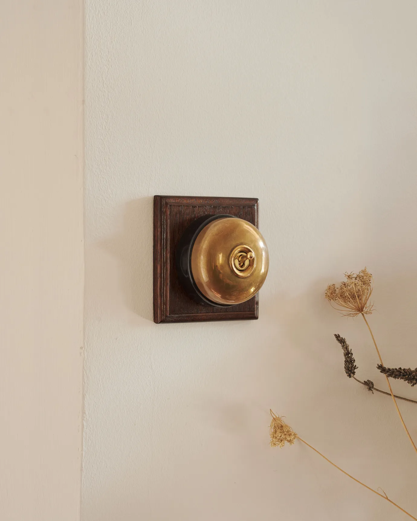 A 1 gang Dolly toggle light switch in an Aged Brass finish, with a black ceramic base and a Stained Sapele pattress.