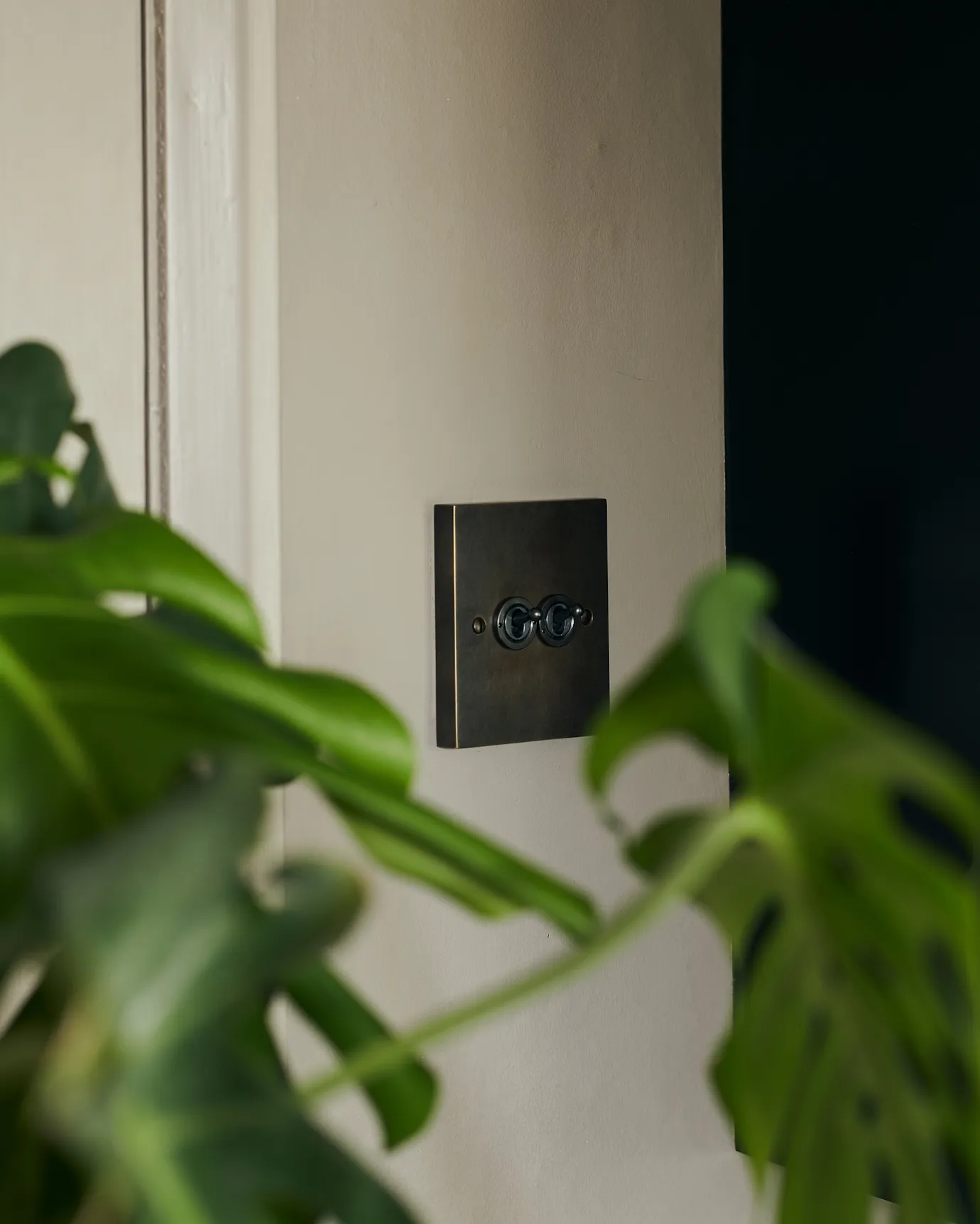 An oblique view of a 2 gang box toggle switch in a dark oxidised brass finish on a grey wall with a large green monstera leaves in the foreground.