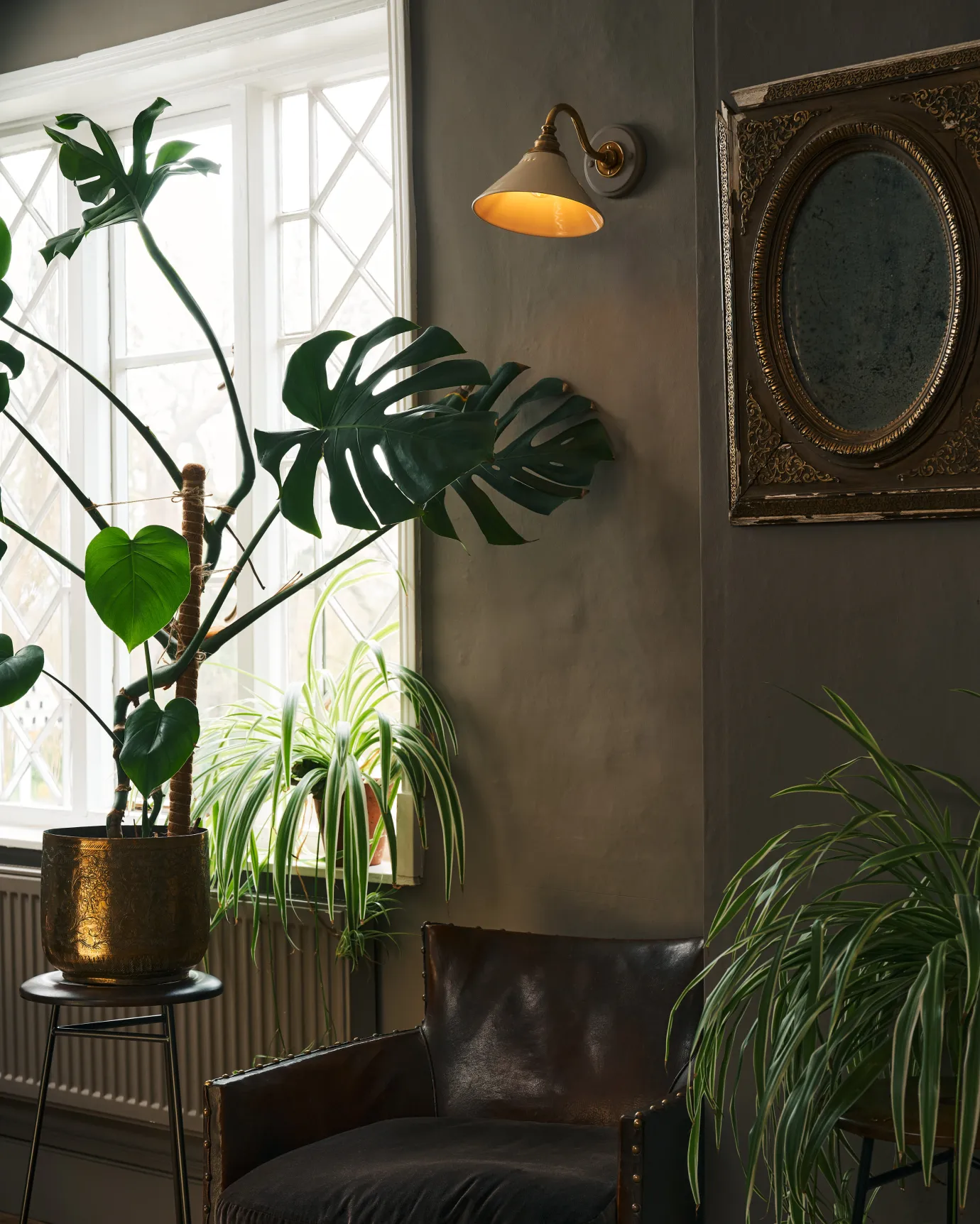 A small Victorian-inspired wall light with a swan neck brass arm and a cream glazed ceramic shade in a dark room with grey walls, a large monstera plant and a large Victorian leaded window.