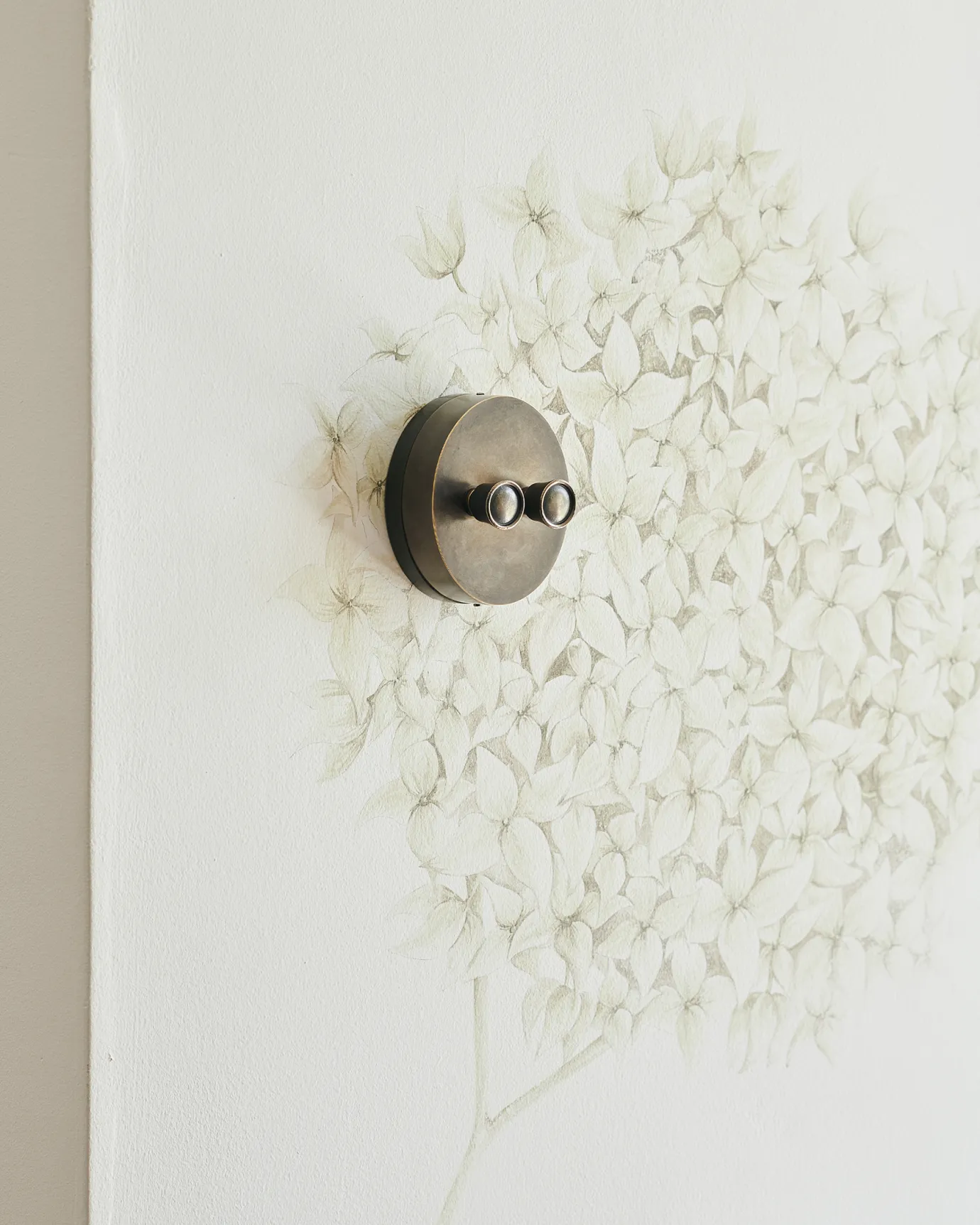 An oblique view of a 2 gang oval-shaped dimmer switch in a dark oxidised brass finish on a white wall with a large mural of an allium flower head.